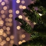 Enjoying the Holidays on International Drive